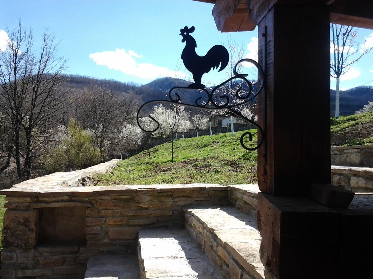 Villa Lavanda Elena Buitenkant foto