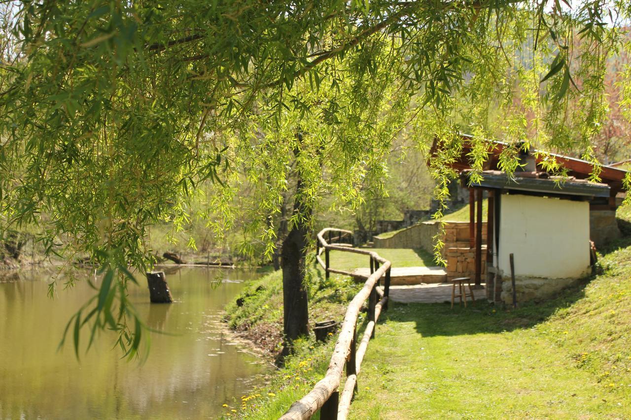 Villa Lavanda Elena Buitenkant foto